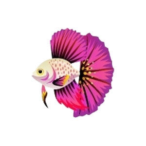 Fuchsia Dreamfish